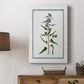 Shabby Chic Botanical I - Canvas Art Print