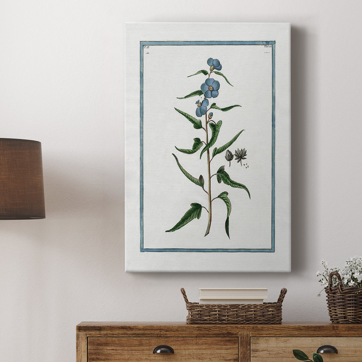 Shabby Chic Botanical I - Canvas Art Print