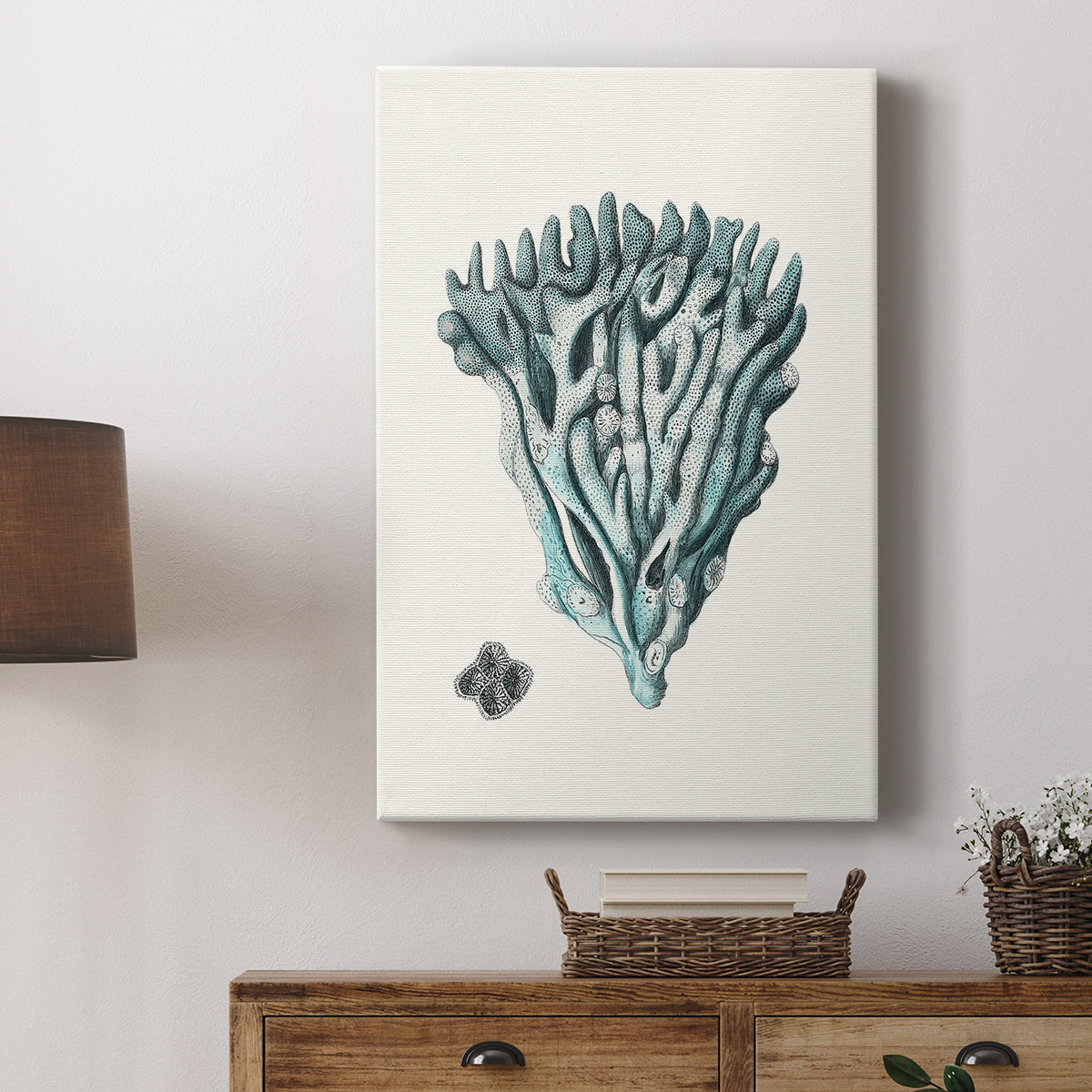 Antique Coastal Coral X - Canvas Art Print