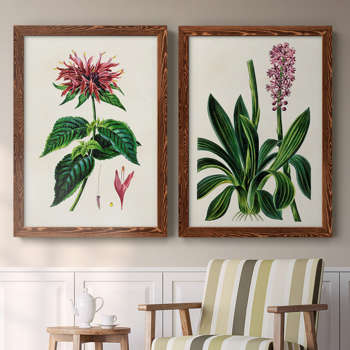 Set of two maple barnwood framed canvas prints depicting two antique botanical plate illustrations featuring colorful flowering plant specimens above a sideboard in a cozy sitting room.