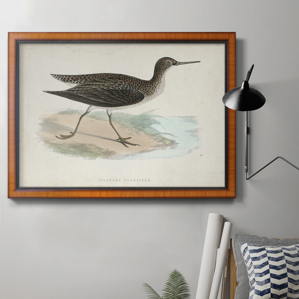 Morris Sandpipers VII Premium Framed Canvas- Ready to Hang