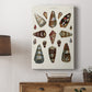 Spiral Shell Formation V - Canvas Art Print