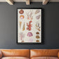 Coral & Shell Collage II -  Framed Canvas Print