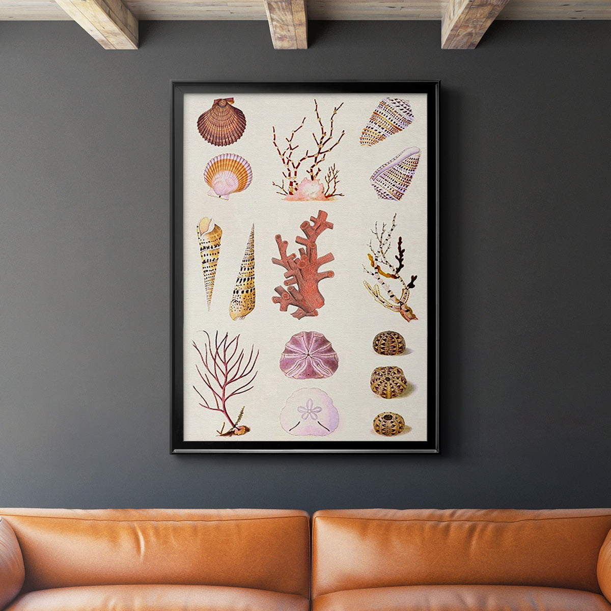 Coral & Shell Collage II -  Framed Canvas Print