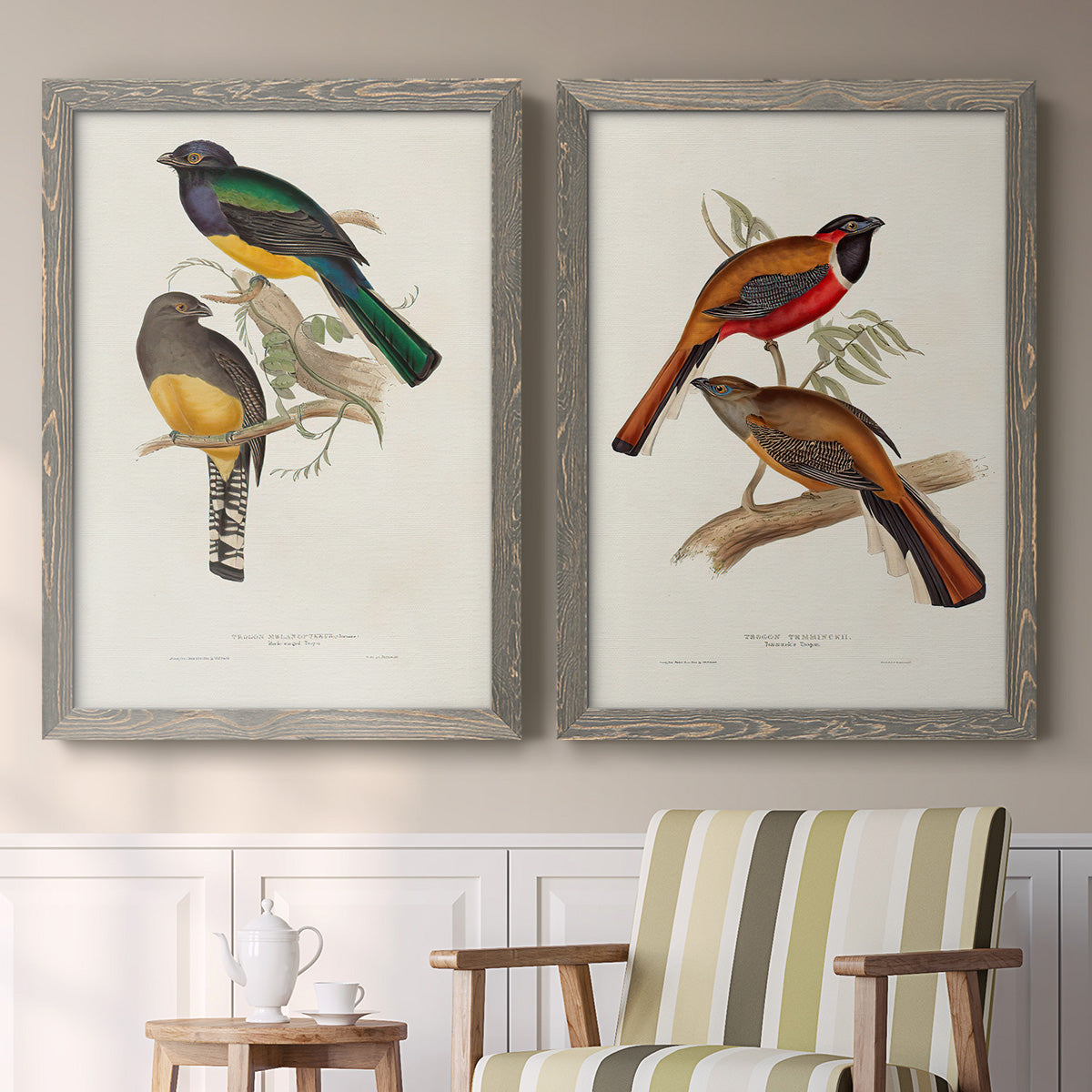 Elegant Trogons III - Premium Framed Canvas 2 Piece Set - Ready to Hang