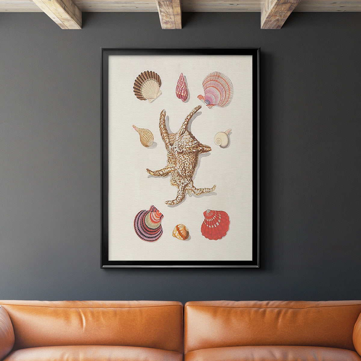 Knorr Shells & Coral II - Modern Framed Canvas Print