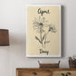 Birth Month IV - Canvas Art Print