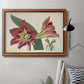 Amaryllis Splendor I Premium Framed Canvas- Ready to Hang