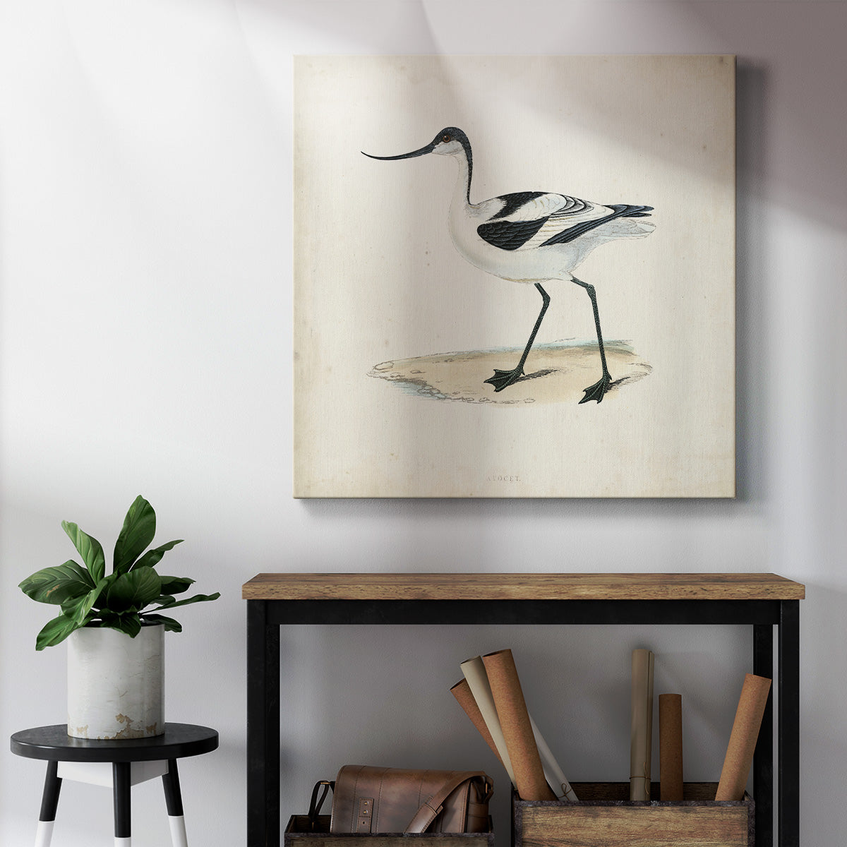 Morris Sandpipers IV - Canvas Art Print