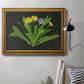 Wild Dandelion II Premium Framed Canvas- Ready to Hang