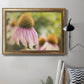 Echinacea Study II Premium Framed Canvas- Ready to Hang