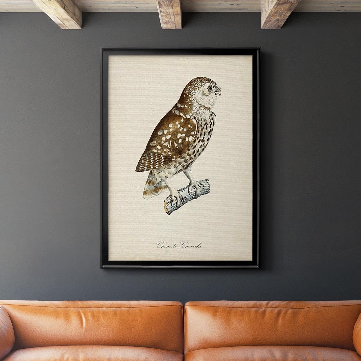 French Owls I - Modern Framed Canvas Print