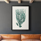 Antique Coastal Coral VIII - Modern Framed Canvas Print