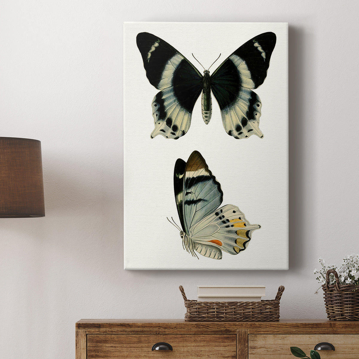 Antique Blue Butterflies I - Canvas Art Print