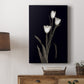 Tulip Pose I - Canvas Art Print