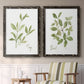 Herb Sage - Premium Framed Canvas 2 Piece Set - Ready to Hang