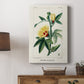 Turpin Tropical Botanicals VI - Canvas Art Print