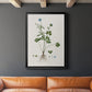 Buttercup Study - Modern Framed Canvas Print