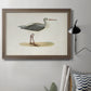 Morris Sandpipers I Premium Framed Canvas- Ready to Hang