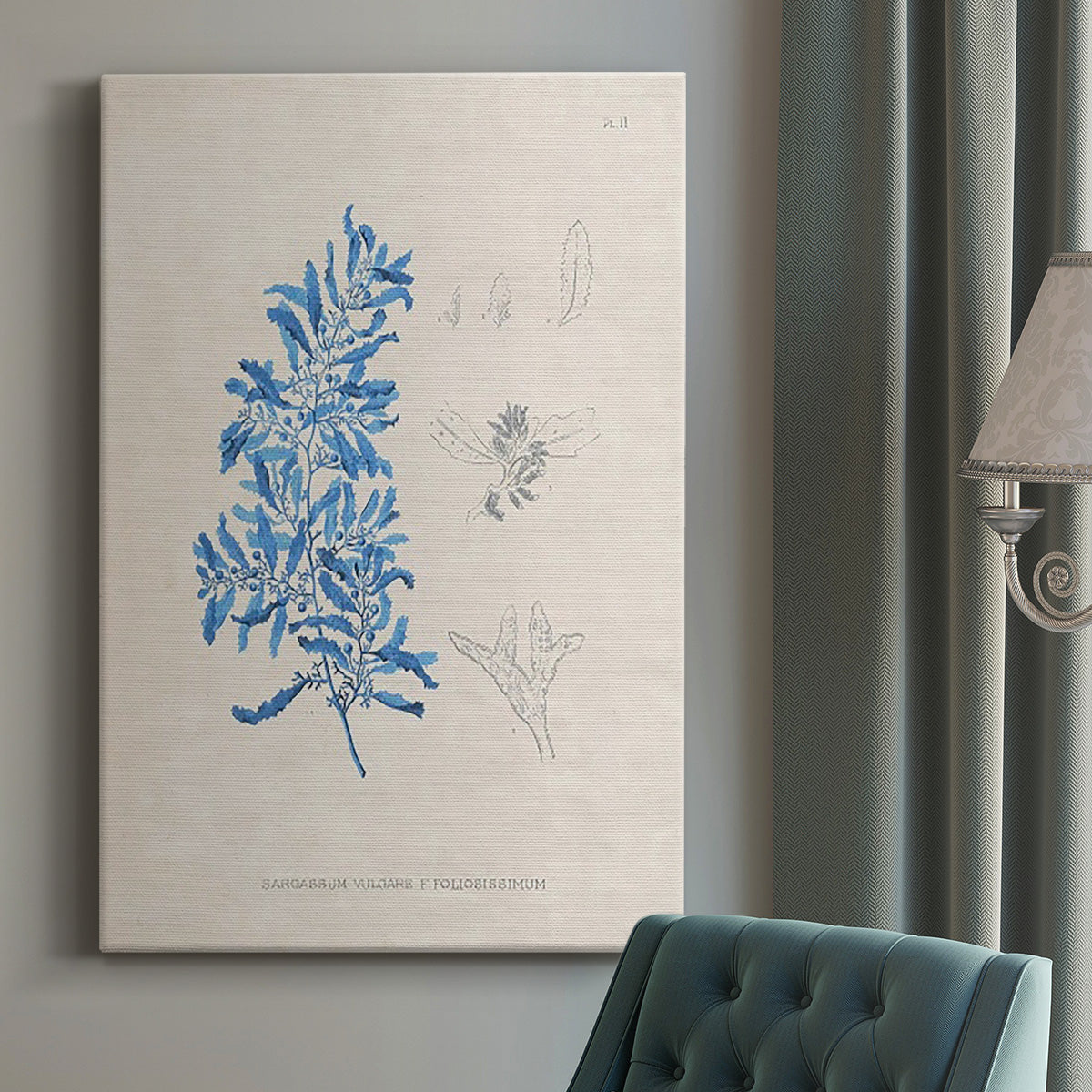 Blue Marine Algae VI - Canvas Art Print