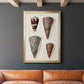 Cone Shell Collection I - Modern Framed Canvas Print