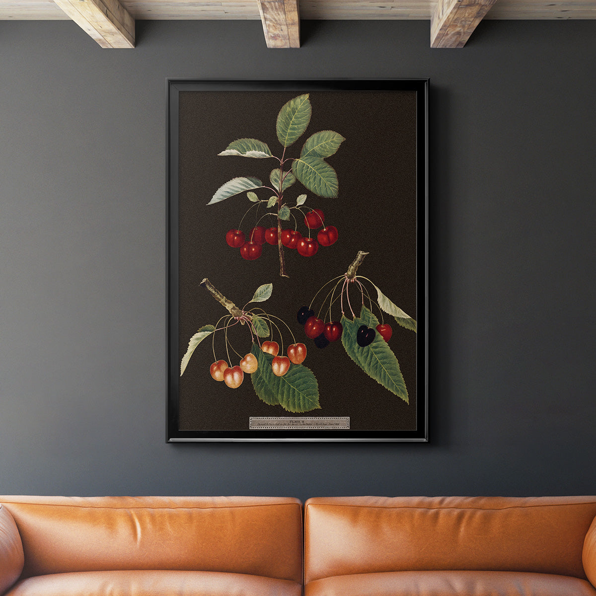 Brookshaw Cherries - Modern Framed Canvas Print