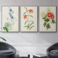 Flowers of the Seasons I - Framed Premium Gallery Wrapped Canvas L Frame 3 Piece Set - Ready to Hang