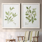 Herb Sage - Premium Framed Canvas 2 Piece Set - Ready to Hang