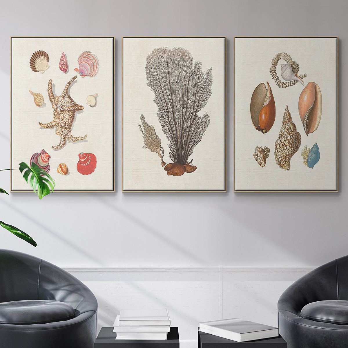 Knorr Shells & Coral I - Framed Premium Gallery Wrapped Canvas L Frame 3 Piece Set - Ready to Hang