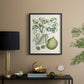 Buchoz Tropicals VIII - Restickable Framed Art Print