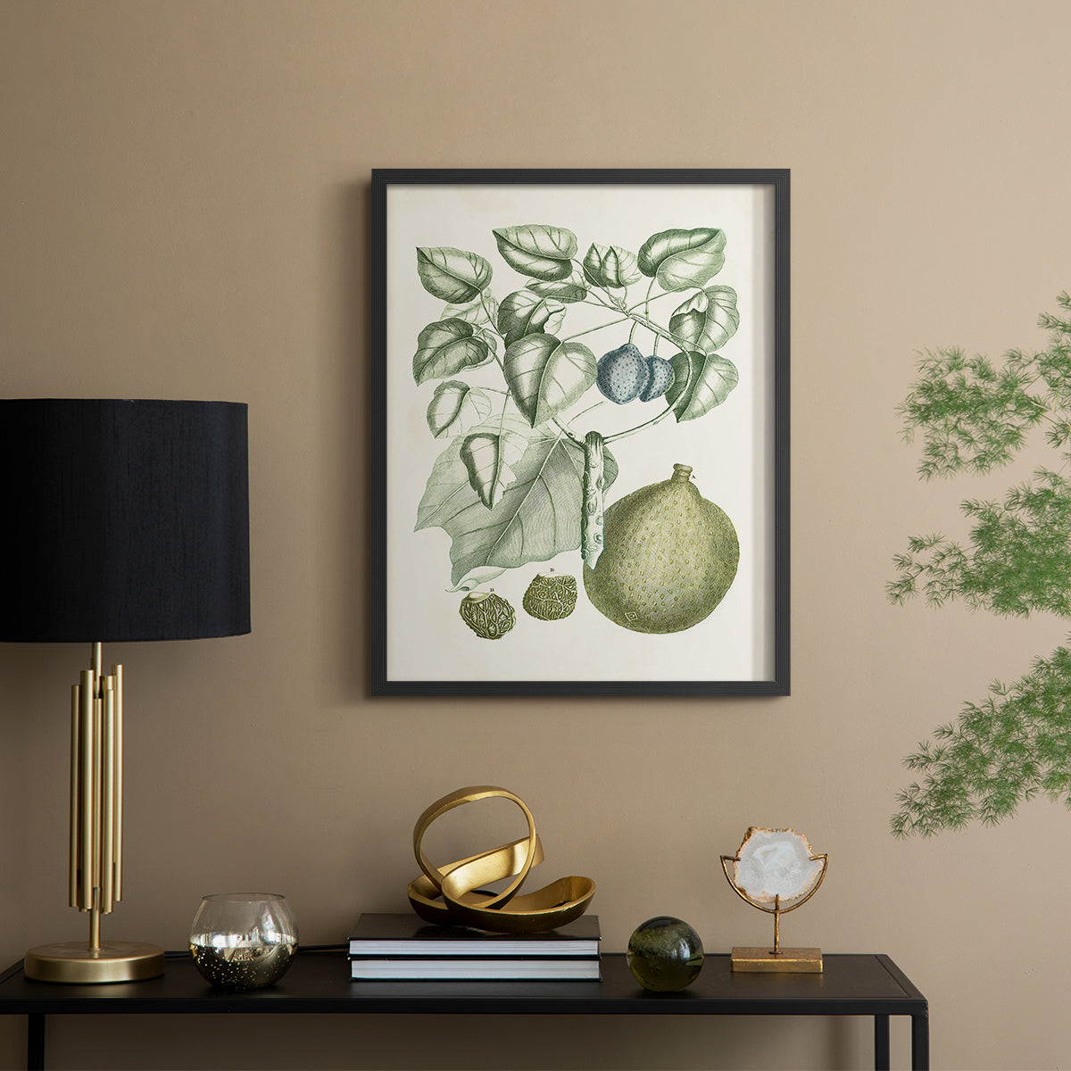 Buchoz Tropicals VIII - Restickable Framed Art Print