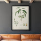 Antique Almond Botanical I - Modern Framed Canvas Print