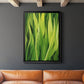 Blades of Grass II - Modern Framed Canvas Print