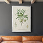 Antique Almond Botanical II - Modern Framed Canvas Print