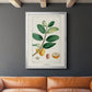 Turpin Tropical Botanicals V - Modern Framed Canvas Print