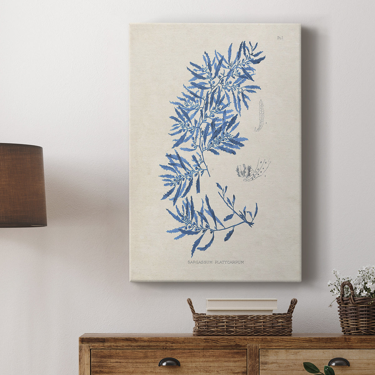 Blue Marine Algae III - Canvas Art Print