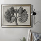 Blossfeldt Botanical VIII Premium Framed Canvas- Ready to Hang