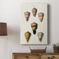 Cone Shell Collection IV - Canvas Art Print