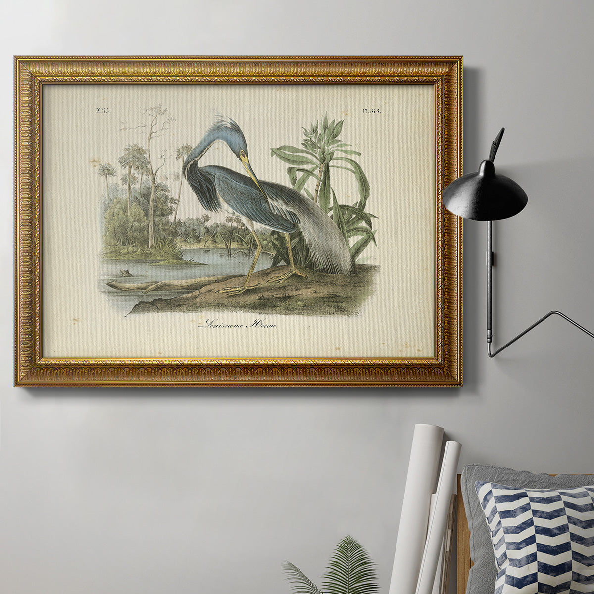 Audubons Louisiana Heron Premium Framed Canvas- Ready to Hang