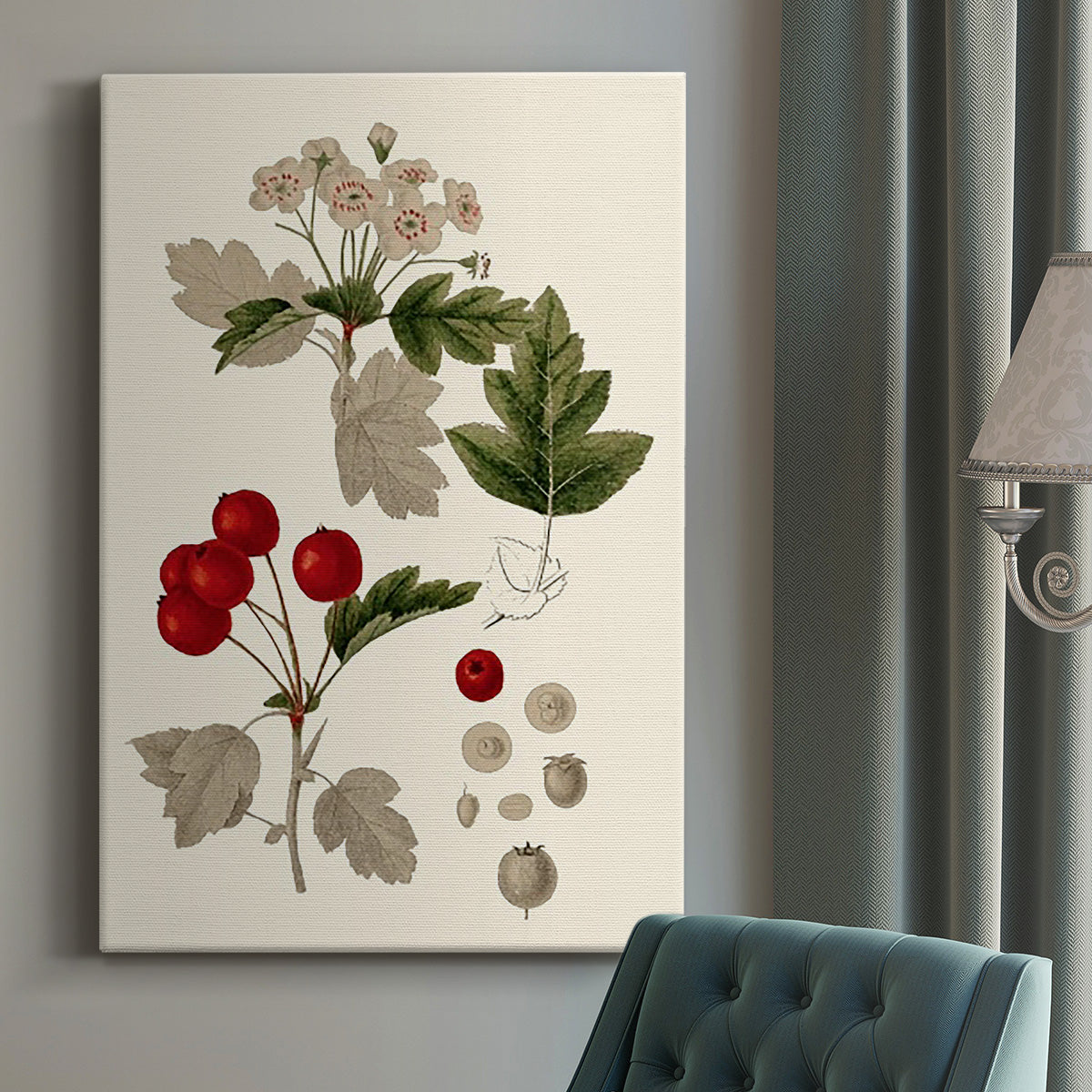 Leaves & Berries III - Canvas Art Print