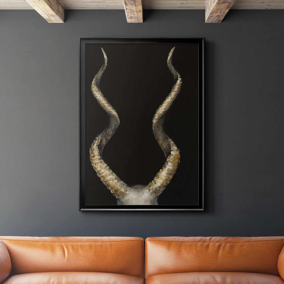 Spiral Antelope Horns -  Framed Canvas Print