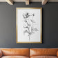 Wild Poppy Sketch - Modern Framed Canvas Print