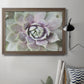 Succulent Glow II - Ornate Framed Canvas Print