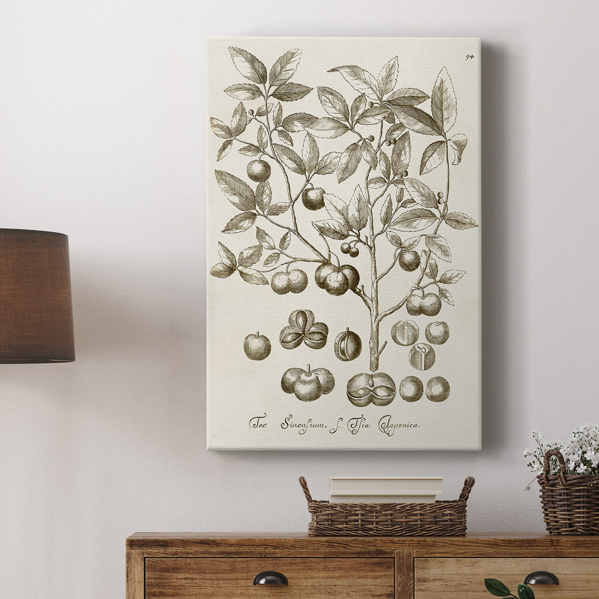 Sepia Botanical Journal II - Canvas Art Print