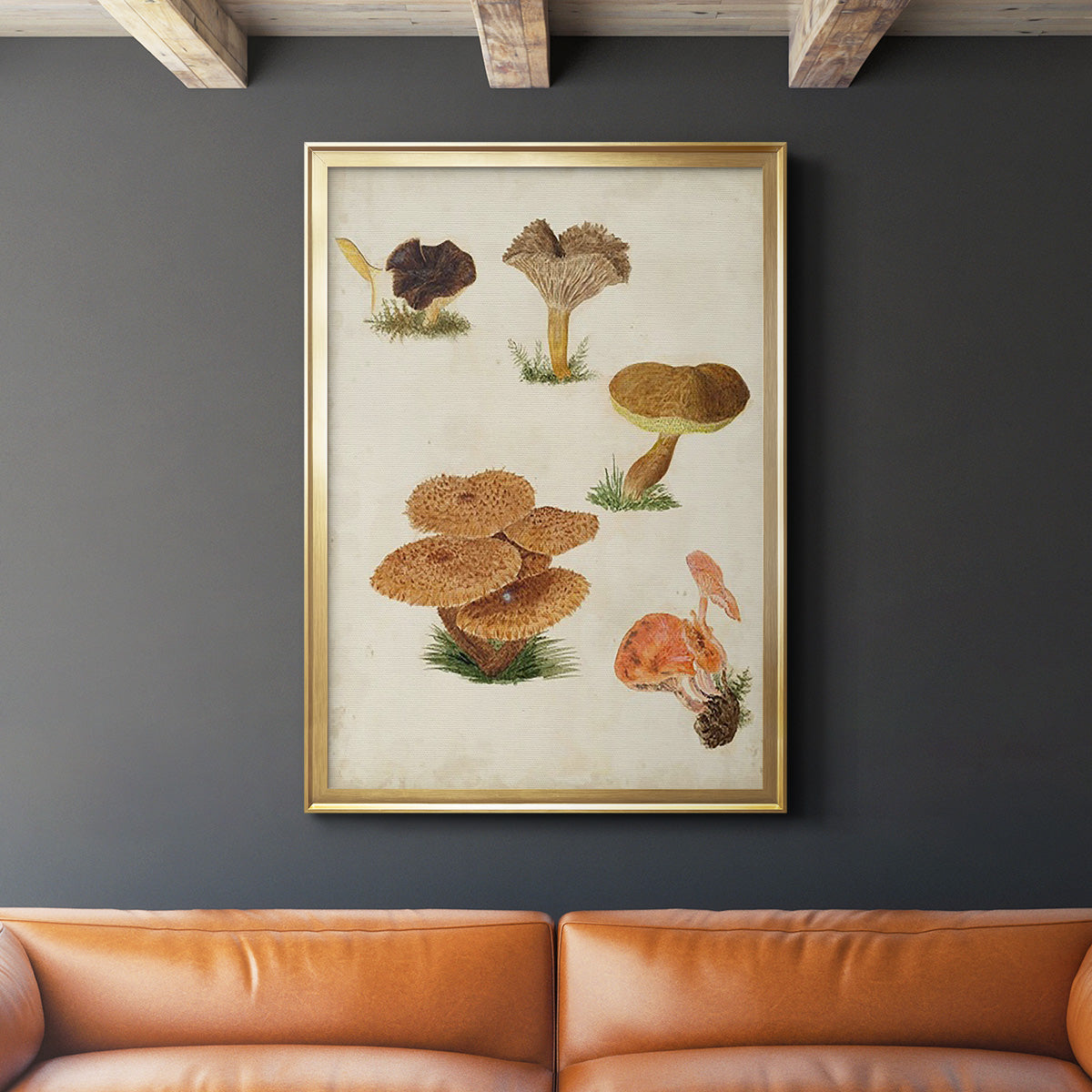 Mushroom Species V - Modern Framed Canvas Print