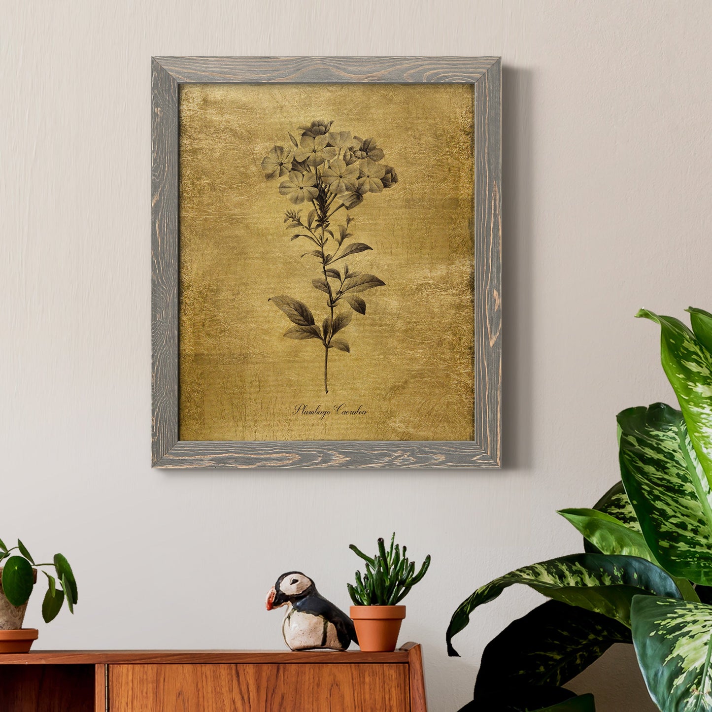Gold Sketch Botanical II - Barnwood Framed Canvas Print