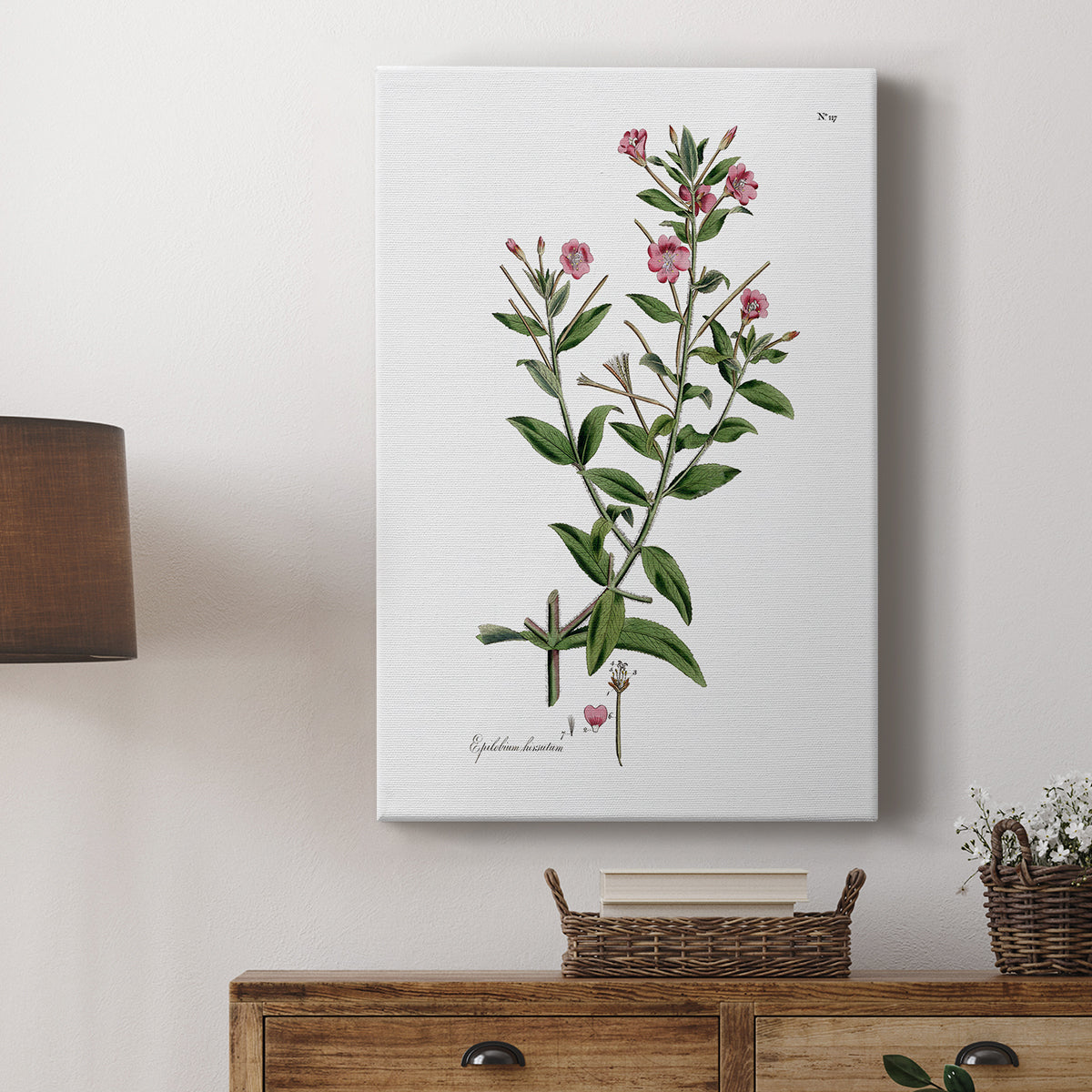 Rose Botanical III - Canvas Art Print