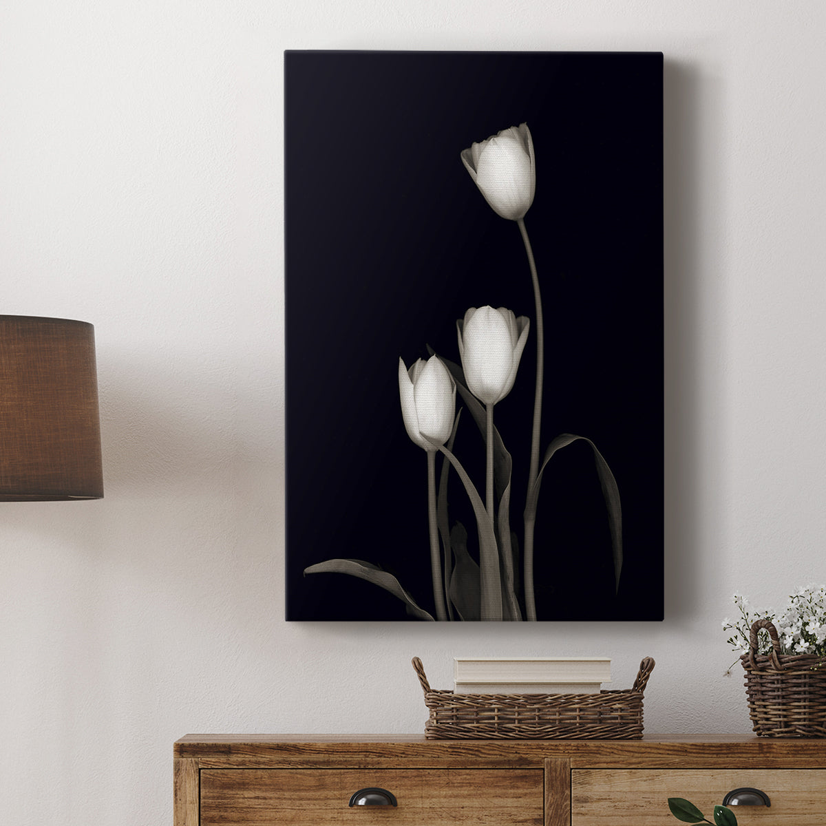 Tulip Pose III - Canvas Art Print