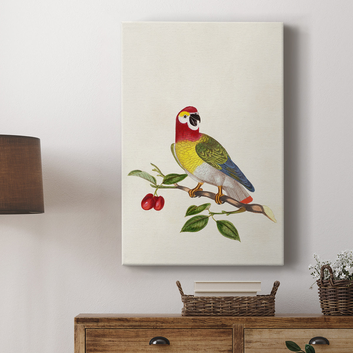 Guinea Parrot, 1796 - Canvas Art Print