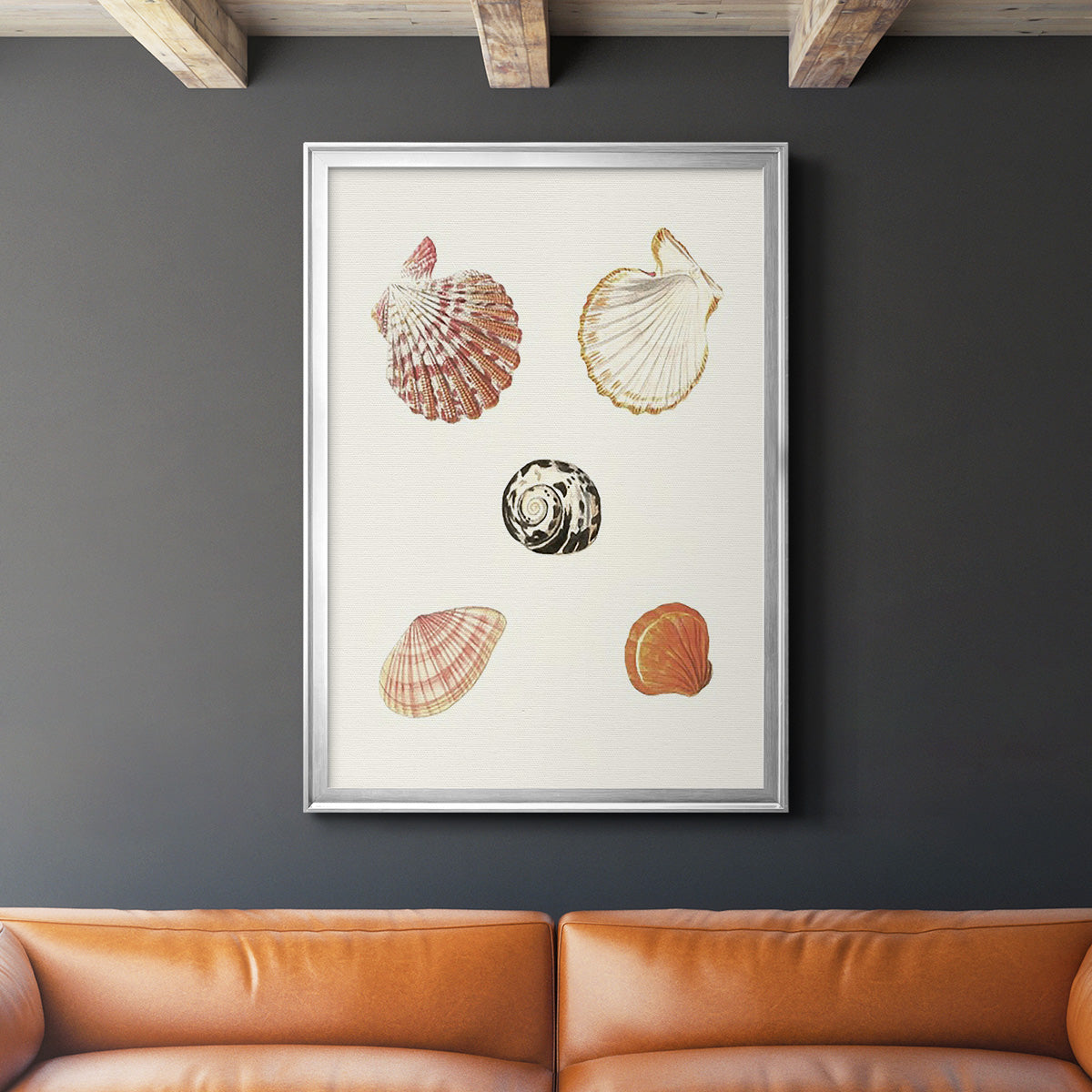 Pastel Knorr Shells VIII - Modern Framed Canvas Print